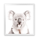 Shop Koala (Square) Photo Art Print-Animals, Baby Nursery, Grey, Photography, Square, View All, White-framed poster wall decor artwork