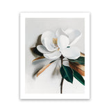 Shop White Magnolia I Art Print-Florals, Hamptons, Portrait, View All, White-framed painted poster wall decor artwork