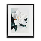 Shop White Magnolia II Art Print-Florals, Green, Hamptons, Portrait, View All, White-framed painted poster wall decor artwork