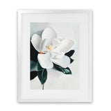 Shop White Magnolia II Art Print-Florals, Green, Hamptons, Portrait, View All, White-framed painted poster wall decor artwork
