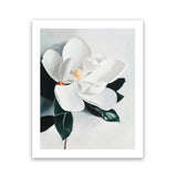 Shop White Magnolia II Art Print-Florals, Green, Hamptons, Portrait, View All, White-framed painted poster wall decor artwork