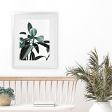 Shop Rubber Plant II Art Print-Botanicals, Green, Portrait, Rectangle, View All-framed painted poster wall decor artwork