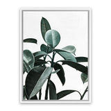 Shop Rubber Plant II Canvas Art Print-Botanicals, Green, Portrait, Rectangle, View All-framed wall decor artwork