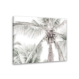 Shop Tropical Palms Photo Canvas Art Print-Green, Landscape, Photography, Photography Canvas Prints, Tropical, View All-framed wall decor artwork