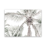 Shop Tropical Palms Photo Canvas Art Print-Green, Landscape, Photography, Photography Canvas Prints, Tropical, View All-framed wall decor artwork
