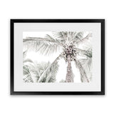 Shop Tropical Palms Photo Art Print-Green, Landscape, Photography, Tropical, View All-framed poster wall decor artwork