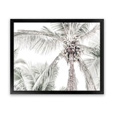 Shop Tropical Palms Photo Art Print-Green, Landscape, Photography, Tropical, View All-framed poster wall decor artwork