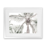 Shop Tropical Palms Photo Art Print-Green, Landscape, Photography, Tropical, View All-framed poster wall decor artwork
