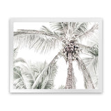 Shop Tropical Palms Photo Art Print-Green, Landscape, Photography, Tropical, View All-framed poster wall decor artwork
