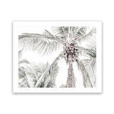 Shop Tropical Palms Photo Art Print-Green, Landscape, Photography, Tropical, View All-framed poster wall decor artwork