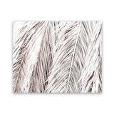 Shop Dried Palm Leaves Photo Art Print-Botanicals, Landscape, Neutrals, Photography, Tropical, View All-framed poster wall decor artwork