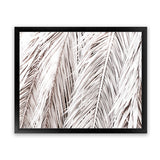 Shop Dried Palm Leaves Photo Art Print-Botanicals, Landscape, Neutrals, Photography, Tropical, View All-framed poster wall decor artwork
