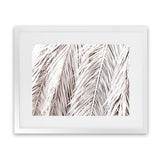 Shop Dried Palm Leaves Photo Art Print-Botanicals, Landscape, Neutrals, Photography, Tropical, View All-framed poster wall decor artwork