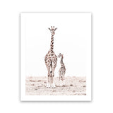 Shop Giraffes I Photo Art Print-Animals, Baby Nursery, Neutrals, Photography, Portrait, View All, White-framed poster wall decor artwork