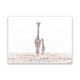 Shop Giraffes II Photo Canvas Print-Animals, Baby Nursery, Landscape, Neutrals, Photography Canvas Prints, View All, White-framed wall decor artwork