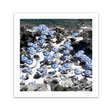 Shop La Fontelina I (Square) Photo Art Print-Blue, Coastal, Photography, Square, View All-framed poster wall decor artwork