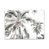 Shop Coconut Palms Photo Canvas Art Print-Boho, Botanicals, Coastal, Green, Landscape, Photography, Photography Canvas Prints, Tropical, View All, White-framed wall decor artwork