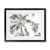 Shop Coconut Palms Photo Art Print-Boho, Botanicals, Coastal, Green, Landscape, Photography, Tropical, View All, White-framed poster wall decor artwork