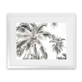Shop Coconut Palms Photo Art Print-Boho, Botanicals, Coastal, Green, Landscape, Photography, Tropical, View All, White-framed poster wall decor artwork