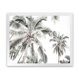 Shop Coconut Palms Photo Art Print-Boho, Botanicals, Coastal, Green, Landscape, Photography, Tropical, View All, White-framed poster wall decor artwork
