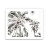 Shop Coconut Palms Photo Art Print-Boho, Botanicals, Coastal, Green, Landscape, Photography, Tropical, View All, White-framed poster wall decor artwork