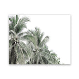 Shop Two Palms Photo Art Print-Green, Landscape, Photography, Tropical, View All, White-framed poster wall decor artwork