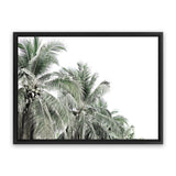 Shop Two Palms Photo Canvas Print-Green, Landscape, Photography Canvas Prints, Tropical, View All, White-framed wall decor artwork