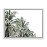 Shop Two Palms Photo Canvas Print-Green, Landscape, Photography Canvas Prints, Tropical, View All, White-framed wall decor artwork