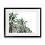 Shop Two Palms Photo Art Print-Green, Landscape, Photography, Tropical, View All, White-framed poster wall decor artwork