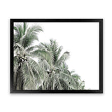 Shop Two Palms Photo Art Print-Green, Landscape, Photography, Tropical, View All, White-framed poster wall decor artwork