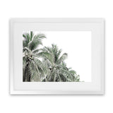 Shop Two Palms Photo Art Print-Green, Landscape, Photography, Tropical, View All, White-framed poster wall decor artwork