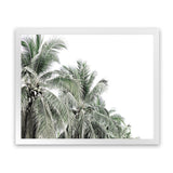 Shop Two Palms Photo Art Print-Green, Landscape, Photography, Tropical, View All, White-framed poster wall decor artwork