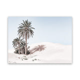 Shop Pastel Desert I Photo Canvas Art Print-Boho, Coastal, Green, Landscape, Moroccan Days, Photography, Photography Canvas Prints, Tropical, View All, White-framed wall decor artwork