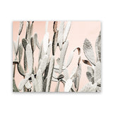 Shop Cacti Dreams Photo Art Print-Boho, Landscape, Moroccan Days, Neutrals, Photography, Pink, Tropical, View All-framed poster wall decor artwork