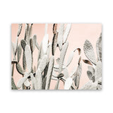 Shop Cacti Dreams Photo Canvas Art Print-Boho, Landscape, Moroccan Days, Neutrals, Photography, Photography Canvas Prints, Pink, Tropical, View All-framed wall decor artwork