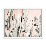 Shop Cacti Dreams Photo Canvas Art Print-Boho, Landscape, Moroccan Days, Neutrals, Photography, Photography Canvas Prints, Pink, Tropical, View All-framed wall decor artwork