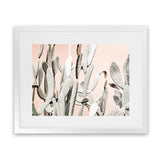 Shop Cacti Dreams Photo Art Print-Boho, Landscape, Moroccan Days, Neutrals, Photography, Pink, Tropical, View All-framed poster wall decor artwork