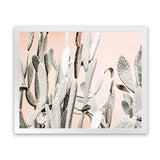 Shop Cacti Dreams Photo Art Print-Boho, Landscape, Moroccan Days, Neutrals, Photography, Pink, Tropical, View All-framed poster wall decor artwork