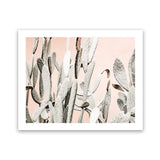 Shop Cacti Dreams Photo Art Print-Boho, Landscape, Moroccan Days, Neutrals, Photography, Pink, Tropical, View All-framed poster wall decor artwork