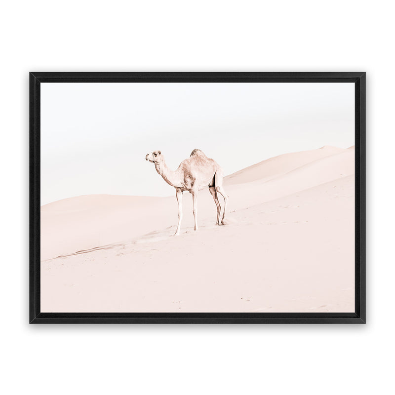 Shop Lone Camel Photo Canvas Art Print-Animals, Baby Nursery, Boho, Landscape, Moroccan Days, Neutrals, Photography, Photography Canvas Prints, Pink, View All-framed wall decor artwork