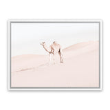 Shop Lone Camel Photo Canvas Art Print-Animals, Baby Nursery, Boho, Landscape, Moroccan Days, Neutrals, Photography, Photography Canvas Prints, Pink, View All-framed wall decor artwork