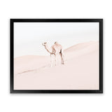 Shop Lone Camel Photo Art Print-Animals, Baby Nursery, Boho, Landscape, Moroccan Days, Neutrals, Photography, Pink, View All-framed poster wall decor artwork