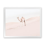 Shop Lone Camel Photo Art Print-Animals, Baby Nursery, Boho, Landscape, Moroccan Days, Neutrals, Photography, Pink, View All-framed poster wall decor artwork