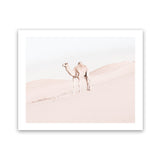 Shop Lone Camel Photo Art Print-Animals, Baby Nursery, Boho, Landscape, Moroccan Days, Neutrals, Photography, Pink, View All-framed poster wall decor artwork