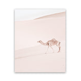 Shop Lone Camel II Photo Art Print-Animals, Baby Nursery, Boho, Moroccan Days, Neutrals, Photography, Pink, Portrait, View All-framed poster wall decor artwork