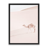 Shop Lone Camel II Photo Canvas Art Print-Animals, Baby Nursery, Boho, Moroccan Days, Neutrals, Photography, Photography Canvas Prints, Pink, Portrait, View All-framed wall decor artwork