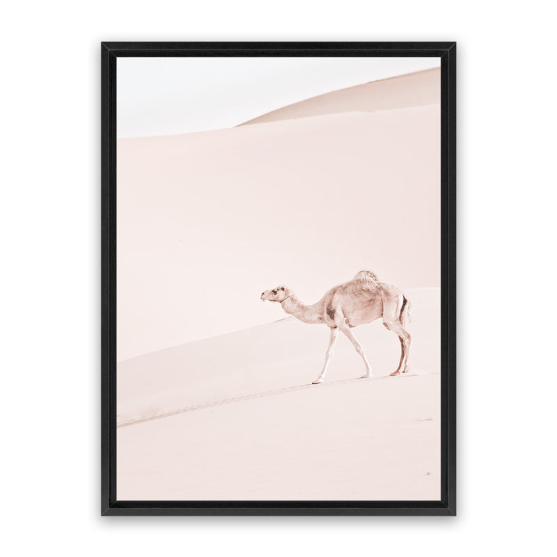 Shop Lone Camel II Photo Canvas Art Print-Animals, Baby Nursery, Boho, Moroccan Days, Neutrals, Photography, Photography Canvas Prints, Pink, Portrait, View All-framed wall decor artwork