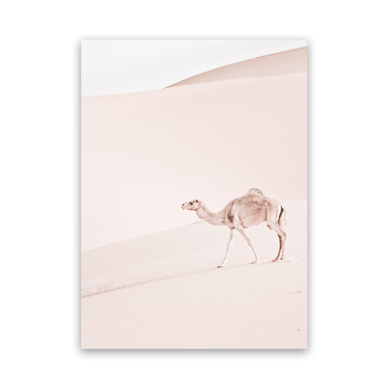 Shop Lone Camel II Photo Canvas Art Print-Animals, Baby Nursery, Boho, Moroccan Days, Neutrals, Photography, Photography Canvas Prints, Pink, Portrait, View All-framed wall decor artwork