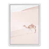 Shop Lone Camel II Photo Canvas Art Print-Animals, Baby Nursery, Boho, Moroccan Days, Neutrals, Photography, Photography Canvas Prints, Pink, Portrait, View All-framed wall decor artwork