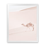 Shop Lone Camel II Photo Art Print-Animals, Baby Nursery, Boho, Moroccan Days, Neutrals, Photography, Pink, Portrait, View All-framed poster wall decor artwork